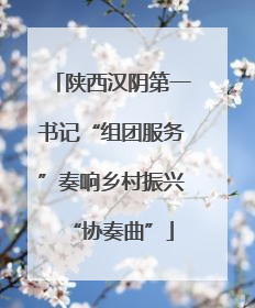 陕西汉阴第一书记“组团服务”奏响乡村振兴“协奏曲”