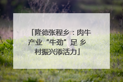 隆德张程乡：肉牛产业“牛劲”足 乡村振兴添活力