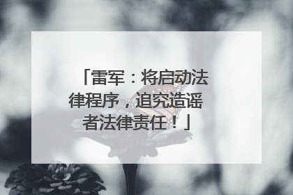 雷军：将启动法律程序，追究造谣者法律责任！