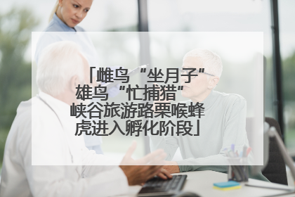 雌鸟“坐月子”雄鸟“忙捕猎” 峡谷旅游路栗喉蜂虎进入孵化阶段