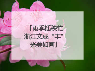 雨季插秧忙 浙江文成“丰”光美如画