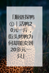 顺链探鸭①｜活鸭20元一斤，街头烤鸭为何却能卖到20多元一只