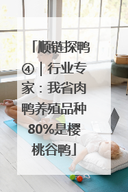 顺链探鸭④｜行业专家：我省肉鸭养殖品种80%是樱桃谷鸭