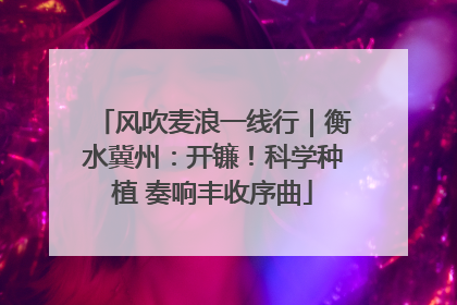 风吹麦浪一线行｜衡水冀州：开镰！科学种植 奏响丰收序曲