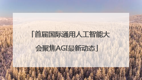 首届国际通用人工智能大会聚焦AGI最新动态