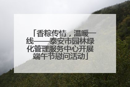香粽传情，温暖一线——泰安市园林绿化管理服务中心开展端午节慰问活动