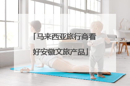 马来西亚旅行商看好安徽文旅产品