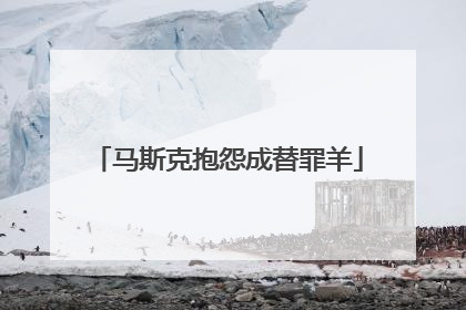 马斯克抱怨成替罪羊