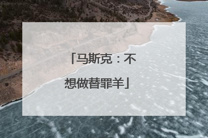 马斯克：不想做替罪羊