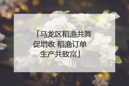 马龙区稻渔共舞促增收 稻渔订单生产共致富