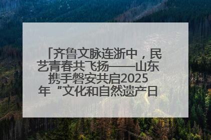 齐鲁文脉连浙中，民艺青春共飞扬——山东携手磐安共启2025年“文化和自然遗产日”系列活动