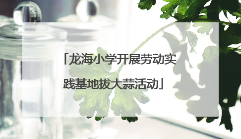 龙海小学开展劳动实践基地拔大蒜活动