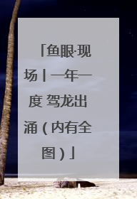 鱼眼·现场丨一年一度 驾龙出涌（内有全图）