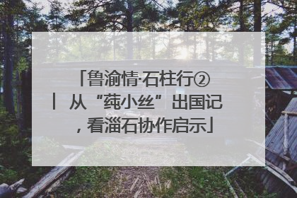 鲁渝情·石柱行② ︳从“莼小丝”出国记，看淄石协作启示