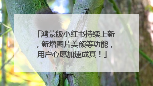 鸿蒙版小红书持续上新，新增图片美颜等功能，用户心愿加速成真！