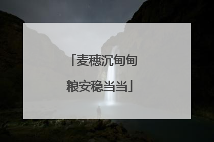 麦穗沉甸甸 粮安稳当当