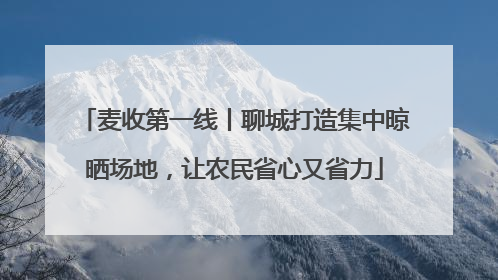 麦收第一线丨聊城打造集中晾晒场地，让农民省心又省力