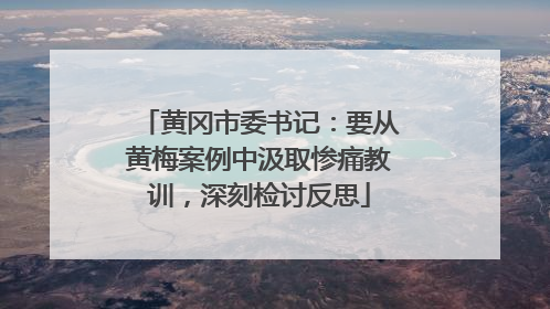 黄冈市委书记：要从黄梅案例中汲取惨痛教训，深刻检讨反思