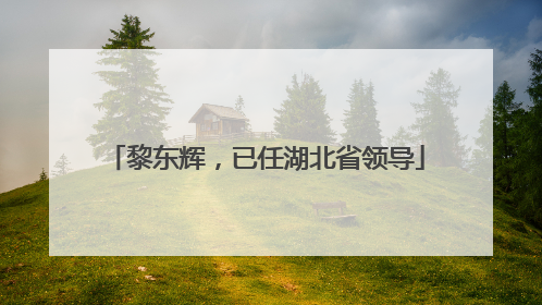 黎东辉，已任湖北省领导