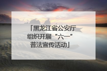 黑龙江省公安厅组织开展“六一”普法宣传活动