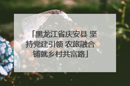 黑龙江省庆安县 坚持党建引领 农旅融合铺就乡村共富路