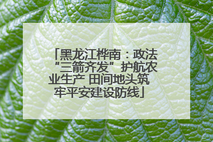 黑龙江桦南：政法“三箭齐发”护航农业生产 田间地头筑牢平安建设防线