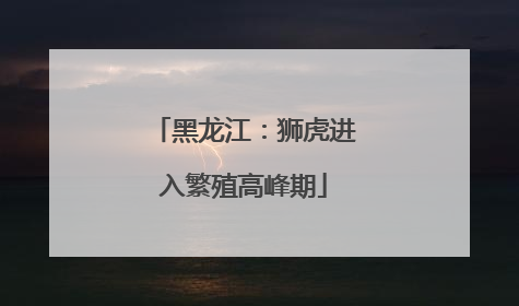 黑龙江：狮虎进入繁殖高峰期