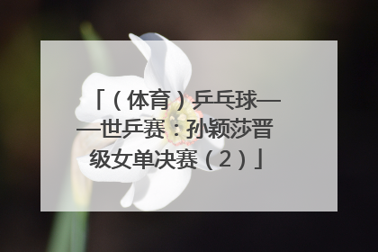 （体育）乒乓球——世乒赛：孙颖莎晋级女单决赛（2）