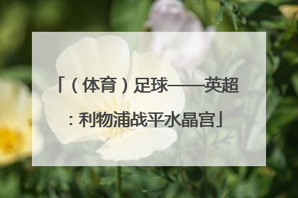 （体育）足球——英超：利物浦战平水晶宫