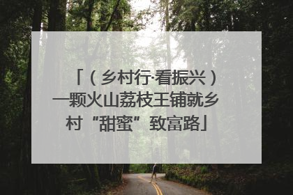 （乡村行·看振兴）一颗火山荔枝王铺就乡村“甜蜜”致富路