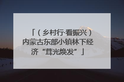 （乡村行·看振兴）内蒙古东部小镇林下经济“茸光焕发”