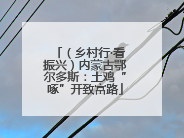 （乡村行·看振兴）内蒙古鄂尔多斯：土鸡“啄”开致富路
