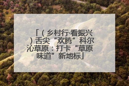 （乡村行·看振兴）舌尖“欢腾”科尔沁草原：打卡“草原味道”新地标