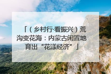 （乡村行·看振兴）荒沟变花海：内蒙古闲置地育出“花漾经济”