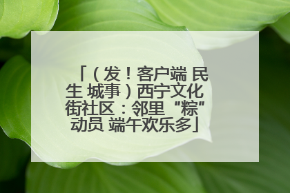 （发！客户端 民生 城事）西宁文化街社区：邻里“粽”动员 端午欢乐多