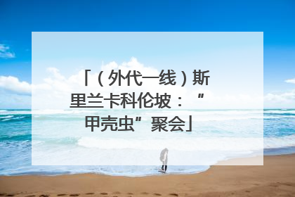 （外代一线）斯里兰卡科伦坡：“甲壳虫”聚会