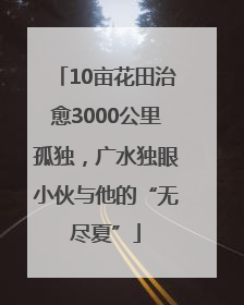 10亩花田治愈3000公里孤独，广水独眼小伙与他的“无尽夏”