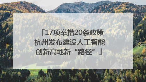 17项举措20条政策 杭州发布建设人工智能创新高地新“路径”