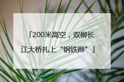 200米高空，双柳长江大桥扎上“钢铁辫”