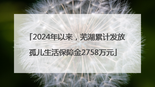2024年以来，芜湖累计发放孤儿生活保障金2758万元