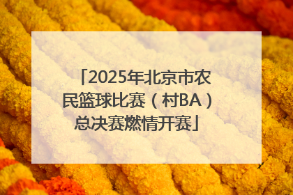 2025年北京市农民篮球比赛（村BA）总决赛燃情开赛