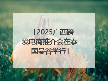 2025广西跨境电商推介会在泰国曼谷举行