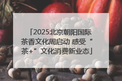 2025北京朝阳国际茶香文化周启动 感受“茶+”文化消费新业态