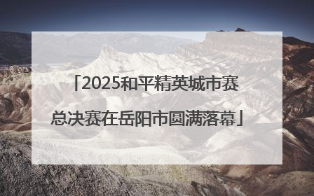 2025和平精英城市赛总决赛在岳阳市圆满落幕
