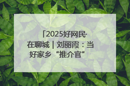 2025好网民·在聊城｜刘丽霞：当好家乡“推介官” 秀出乡村新风貌