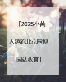 2025小黄人趣跑北京园博园站收官