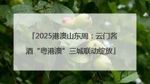 2025港澳山东周：云门酱酒“粤港澳”三城联动绽放