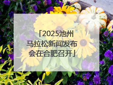 2025池州马拉松新闻发布会在合肥召开