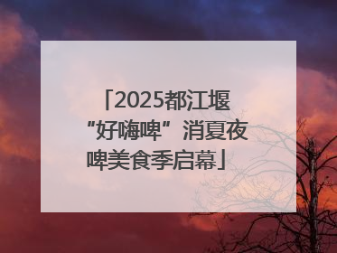 2025都江堰“好嗨啤”消夏夜啤美食季启幕