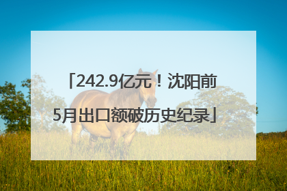 242.9亿元！沈阳前5月出口额破历史纪录